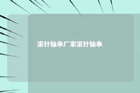 滚针轴承厂家滚针轴承 